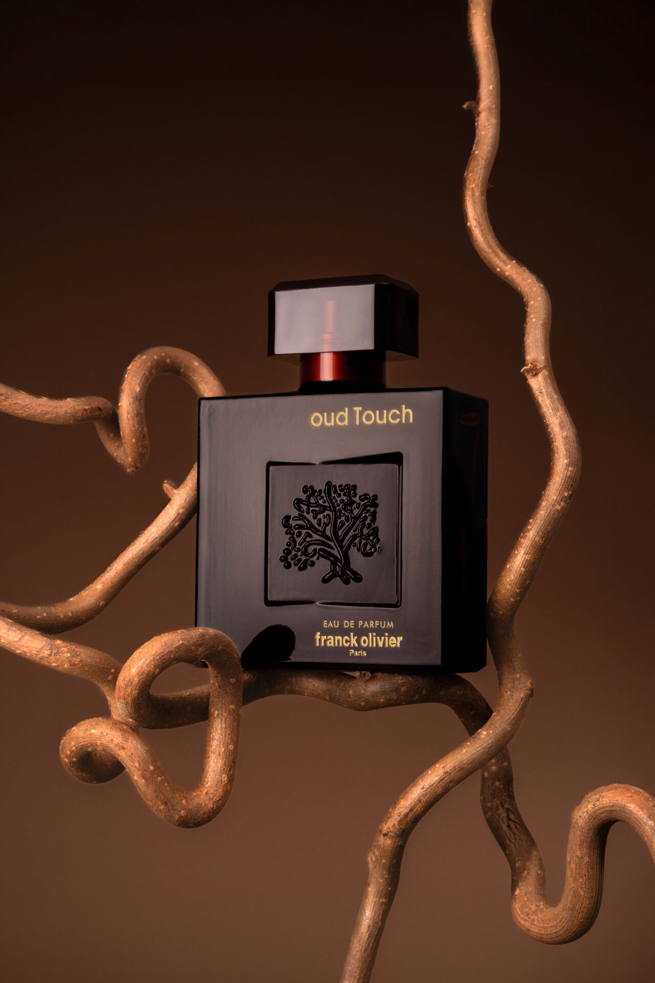 Oud Touch by Franck Olivier